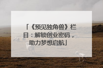 《预见独角兽》栏目：解锁创业密码，助力梦想启航
