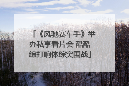 《风驰赛车手》举办私享看片会 酷酷综打响体综突围战