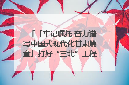 「牢记嘱托 奋力谱写中国式现代化甘肃篇章」打好“三北”工程攻坚战 筑牢国家西部生态安全屏障