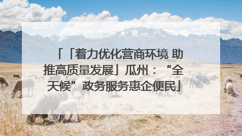 「着力优化营商环境 助推高质量发展」瓜州：“全天候”政务服务惠企便民