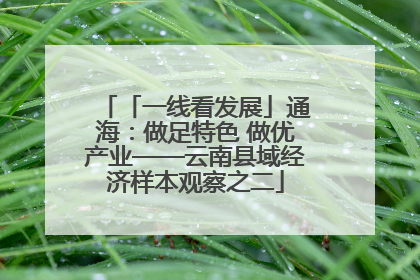 「一线看发展」通海：做足特色 做优产业——云南县域经济样本观察之二