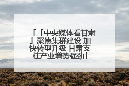「中央媒体看甘肃」聚焦集群建设 加快转型升级 甘肃支柱产业增势强劲