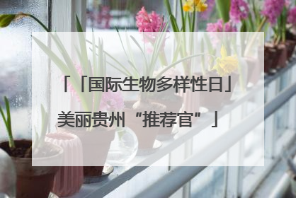 「国际生物多样性日」美丽贵州“推荐官”