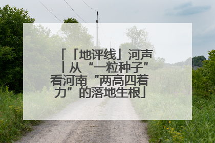 「地评线」河声丨从“一粒种子”看河南“两高四着力”的落地生根