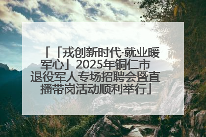 「戎创新时代·就业暖军心」2025年铜仁市退役军人专场招聘会暨直播带岗活动顺利举行