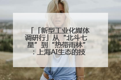「新型工业化媒体调研行」从“北斗七星”到“热带雨林”：上海AI生态的技术商业共生密码