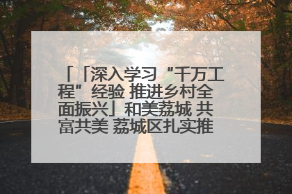 「深入学习“千万工程”经验 推进乡村全面振兴」和美荔城 共富共美 荔城区扎实推进乡村振兴工作