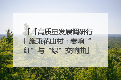 「高质量发展调研行」施秉花山村：奏响“红”与“绿”交响曲