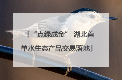 “点绿成金” 湖北首单水生态产品交易落地