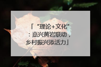 “理论+文化”：嘉兴黄岩联动，乡村振兴添活力