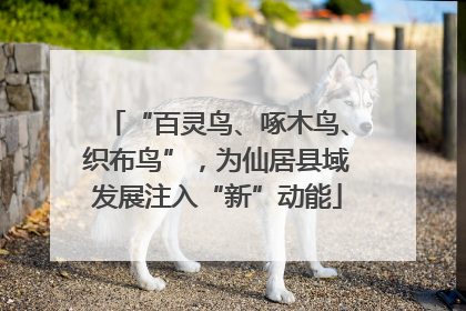 “百灵鸟、啄木鸟、织布鸟”，为仙居县域发展注入“新”动能
