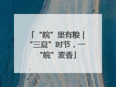 “皖”里有粮｜“三夏”时节，一“皖”麦香