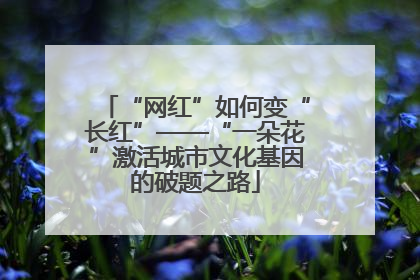 “网红”如何变“长红”——“一朵花”激活城市文化基因的破题之路
