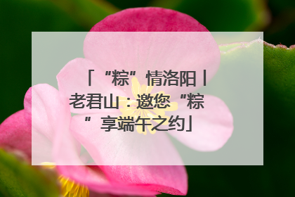 “粽”情洛阳丨老君山：邀您“粽”享端午之约