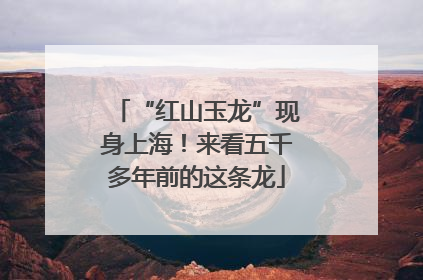 “红山玉龙”现身上海！来看五千多年前的这条龙