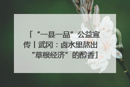 “一县一品”公益宣传丨武冈：卤水里熬出“草根经济”的醇香