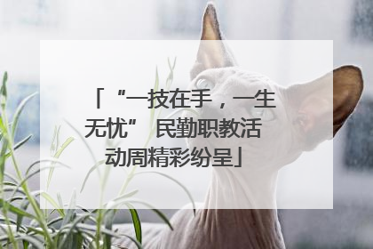 “一技在手，一生无忧” 民勤职教活动周精彩纷呈