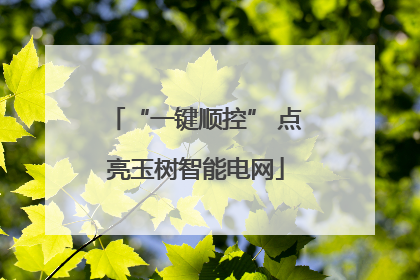“一键顺控” 点亮玉树智能电网