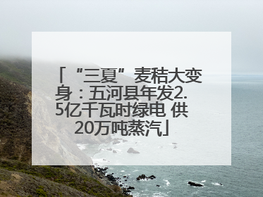 “三夏”麦秸大变身：五河县年发2.5亿千瓦时绿电 供20万吨蒸汽