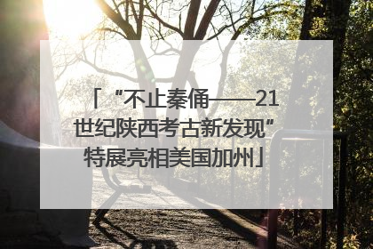 “不止秦俑——21世纪陕西考古新发现”特展亮相美国加州