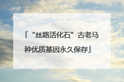 “丝路活化石”古老马种优质基因永久保存