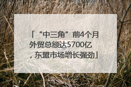 “中三角”前4个月外贸总额达5700亿，东盟市场增长强劲