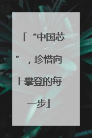 “中国芯”，珍惜向上攀登的每一步