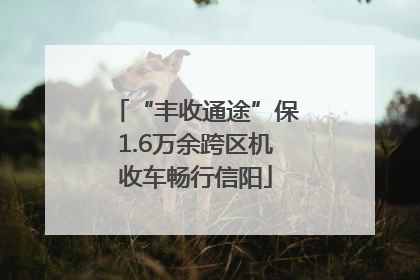 “丰收通途”保1.6万余跨区机收车畅行信阳