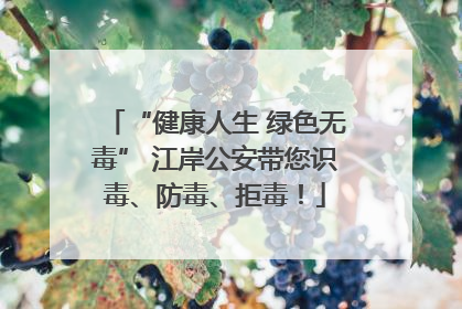 “健康人生 绿色无毒” 江岸公安带您识毒、防毒、拒毒！