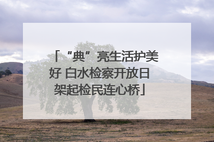 “典”亮生活护美好 白水检察开放日架起检民连心桥