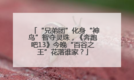 “兄弟团”化身“神鸟”智夺灵珠，《奔跑吧13》今晚“百谷之王”花落谁家？