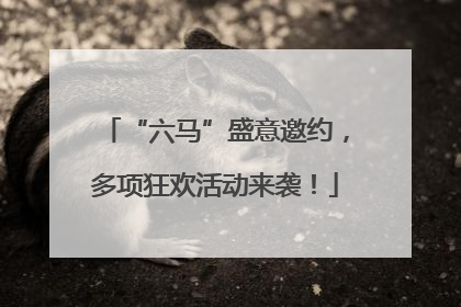 “六马”盛意邀约，多项狂欢活动来袭！
