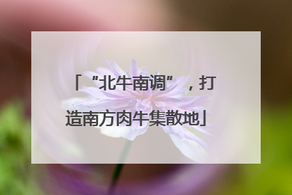 “北牛南调”，打造南方肉牛集散地