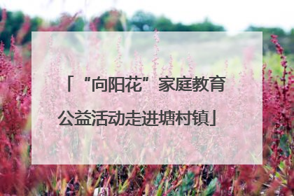 “向阳花”家庭教育公益活动走进塘村镇