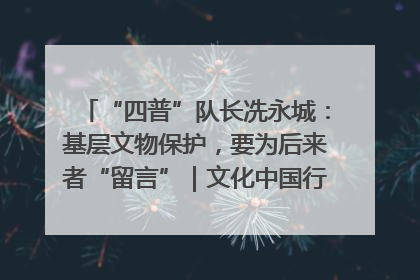 “四普”队长冼永城：基层文物保护，要为后来者“留言”｜文化中国行·我在广东找文物