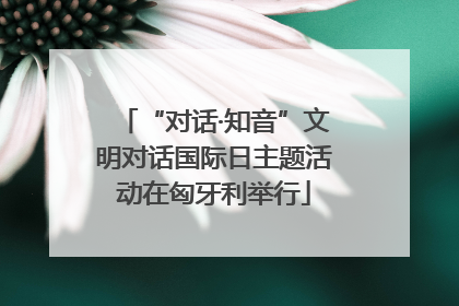 “对话·知音”文明对话国际日主题活动在匈牙利举行