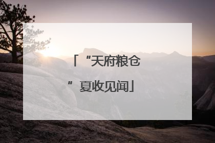 “天府粮仓”夏收见闻