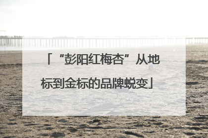 “彭阳红梅杏”从地标到金标的品牌蜕变