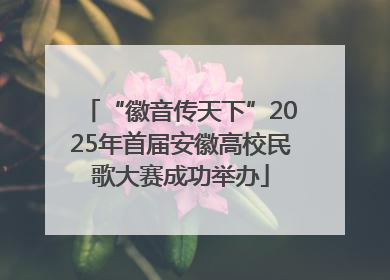 “徽音传天下”2025年首届安徽高校民歌大赛成功举办