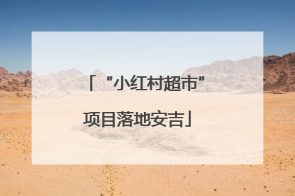 “小红村超市”项目落地安吉