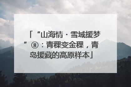 “山海情・雪域援梦”⑧：青稞变金稞，青岛援藏的高原样本