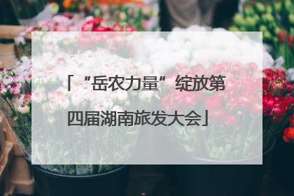 “岳农力量”绽放第四届湖南旅发大会