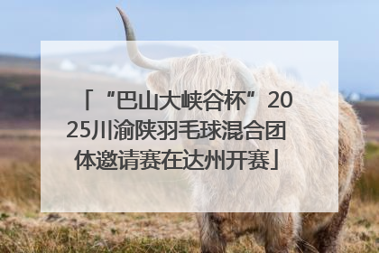 “巴山大峡谷杯”2025川渝陕羽毛球混合团体邀请赛在达州开赛