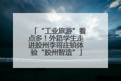 “工业旅游”看点多！外籍学生走进胶州李哥庄镇体验“胶州智造”