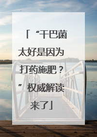 “干巴菌太好是因为打药施肥？”权威解读来了