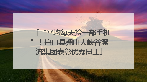 “平均每天捡一部手机”！鲁山县尧山大峡谷漂流集团表彰优秀员工