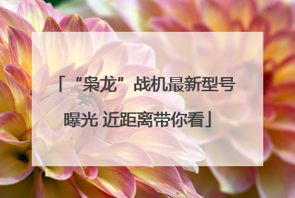 “枭龙”战机最新型号曝光 近距离带你看