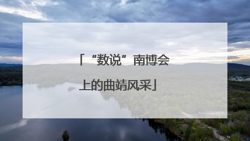 “数说”南博会上的曲靖风采