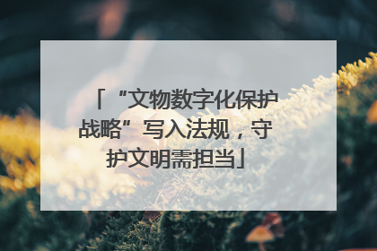 “文物数字化保护战略”写入法规，守护文明需担当