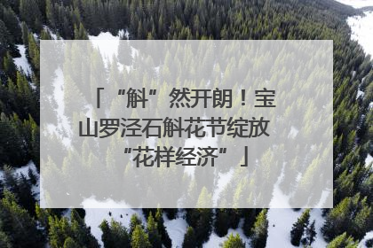 “斛”然开朗！宝山罗泾石斛花节绽放“花样经济”